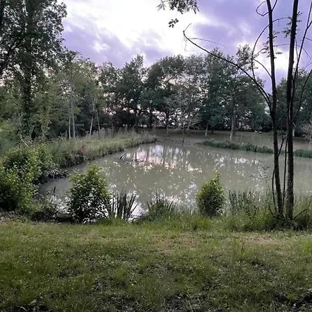 In With Heated Pool And Sauna, Cleaning Included * Peyrusse-Grande